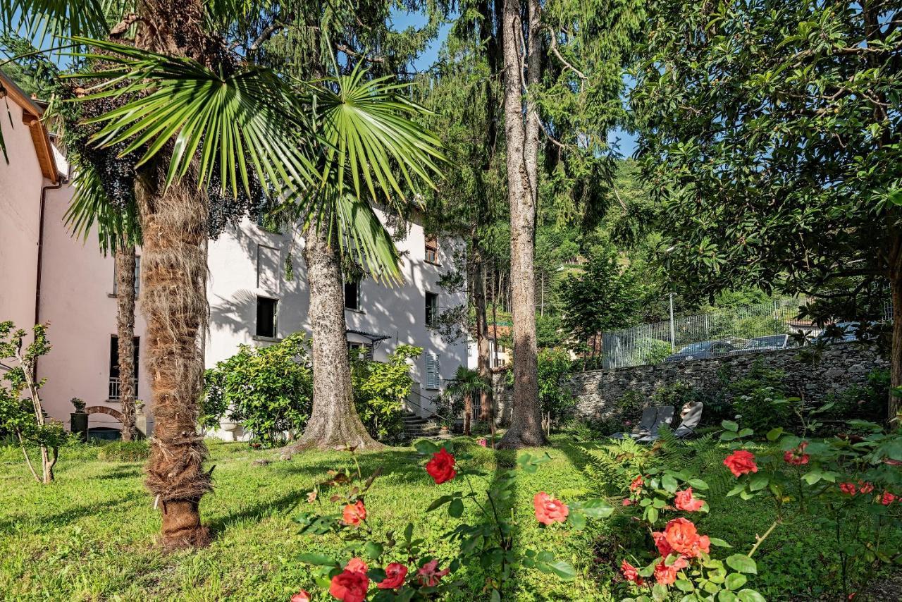 דונגו B&B Villa Rosalinda מראה חיצוני תמונה