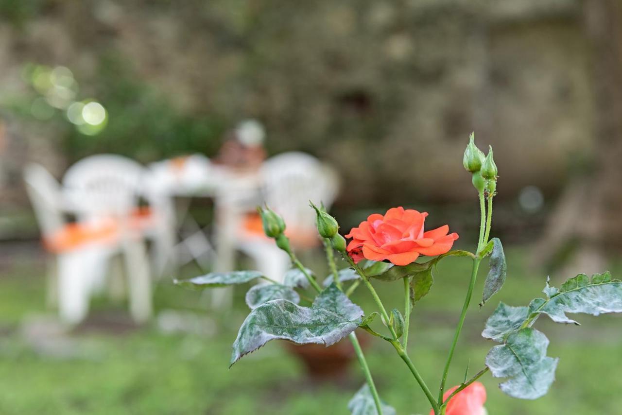 דונגו B&B Villa Rosalinda מראה חיצוני תמונה